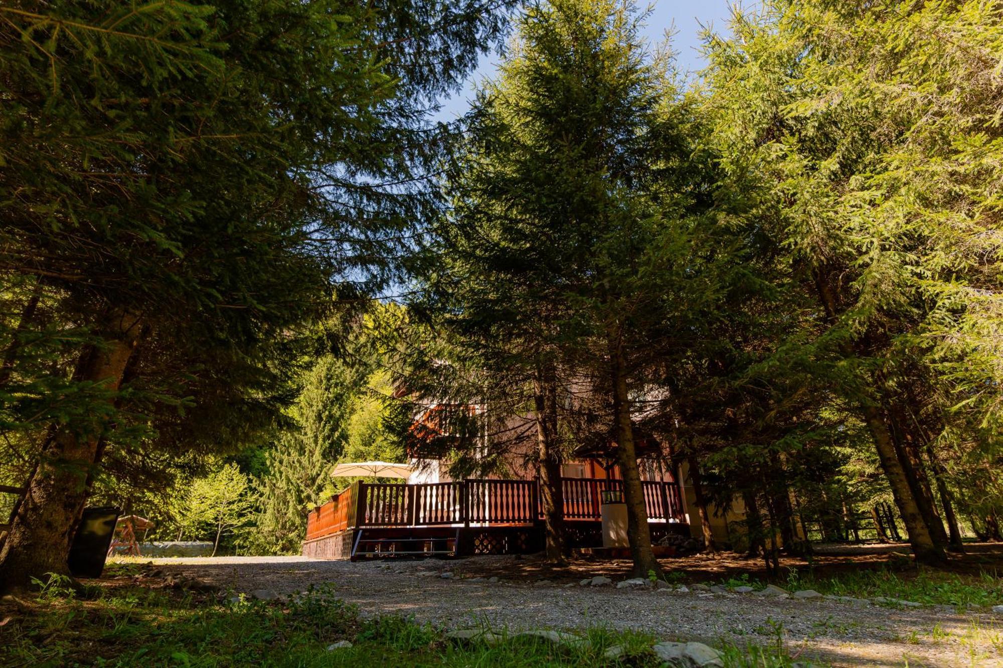 Cabana Zip Zarnesti Exterior foto